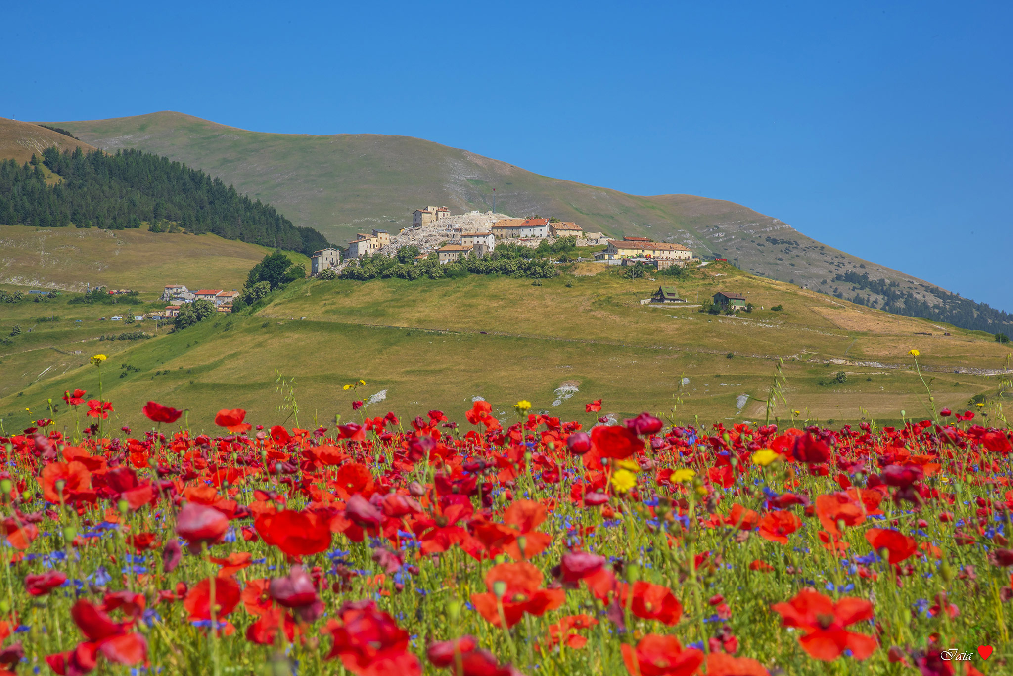 Castelluccio di Norcia